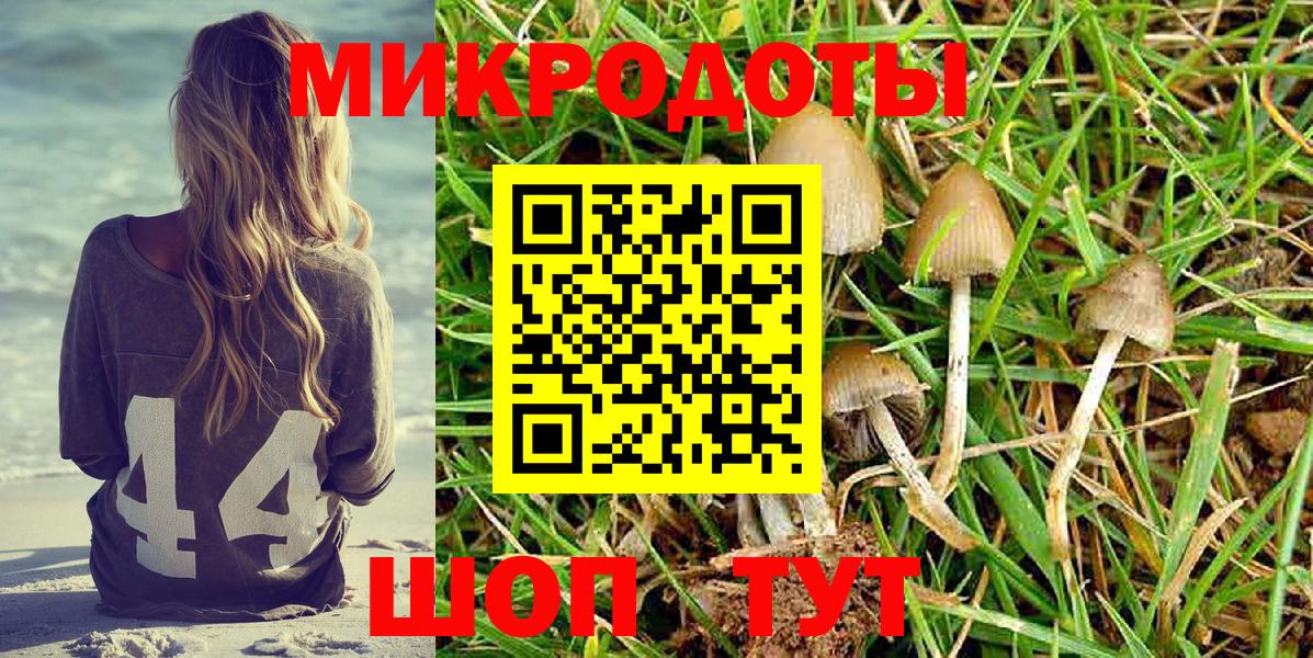 Псилоцибиновые грибы Magic Shrooms  Галлюциногенные грибы мухоморы  Вход с VPN  Брянск 